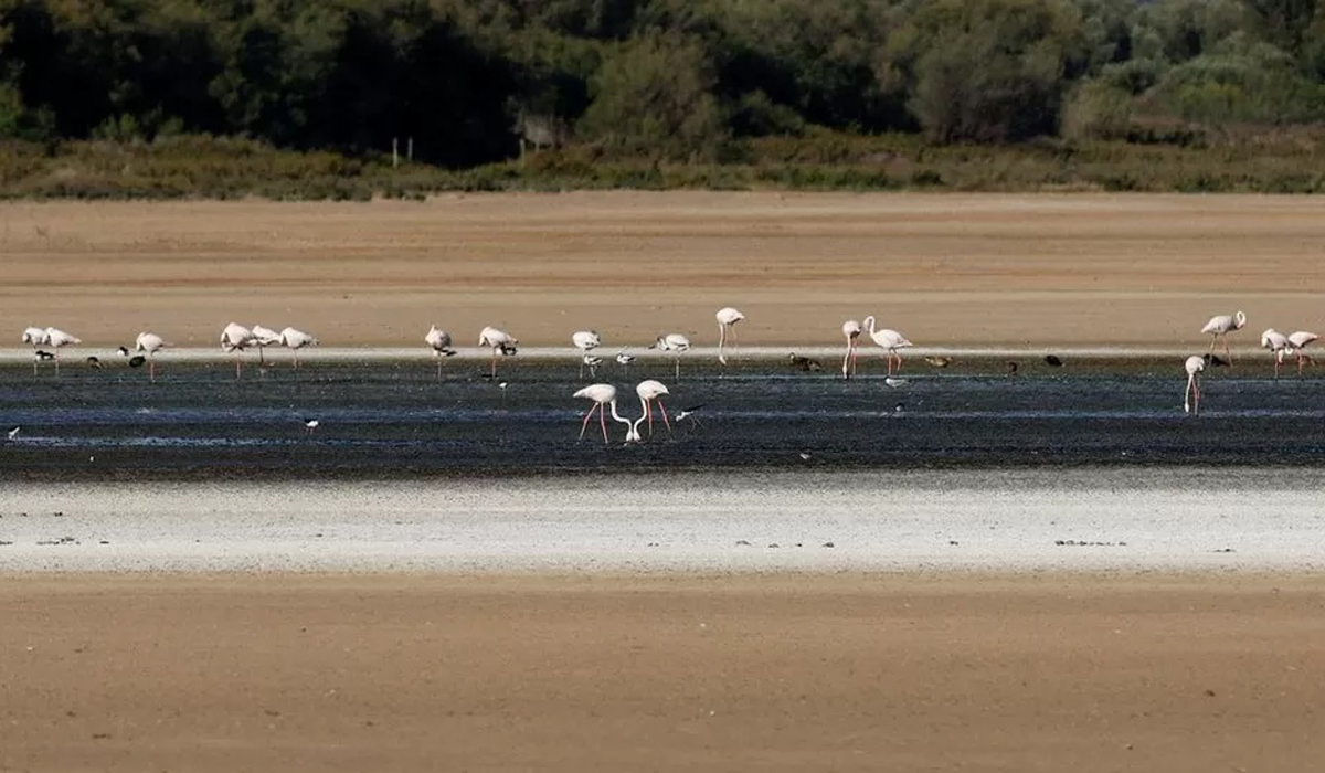 Drought in Spain